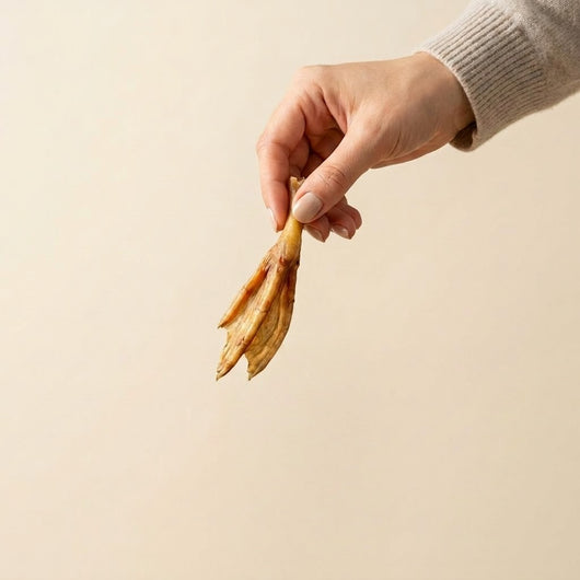Haven & Hound Duck Feet Chews