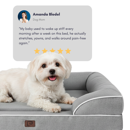 Haven & Hound Orthopedic Dog Bed