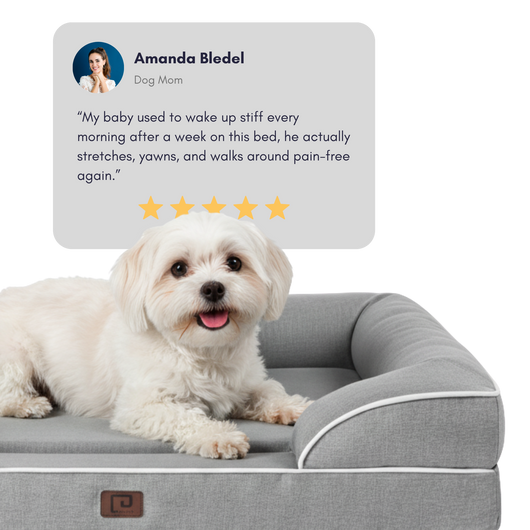 Haven & Hound Orthopedic Dog Bed