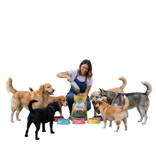 Purpose-Driven Craftsmanship